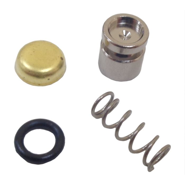 Pump Piston Kit - OEM: 42381209700