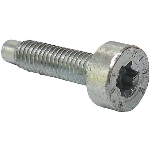 New Type Pin Screw M5 x 20 - OEM: 00009511109