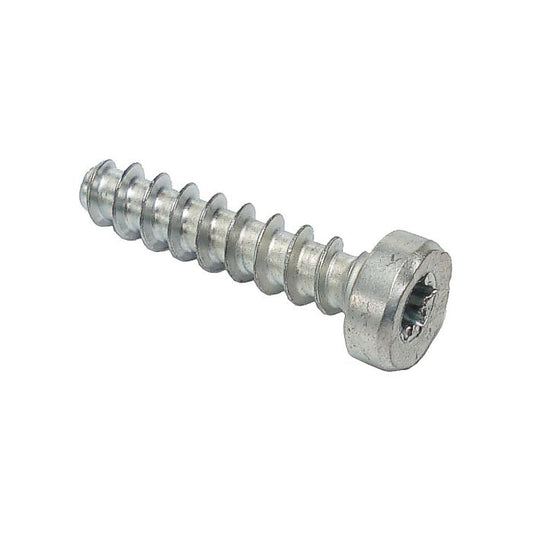 Pan Head Self-Tapping Screw P6 x 26.5 - OEM: 90744784545