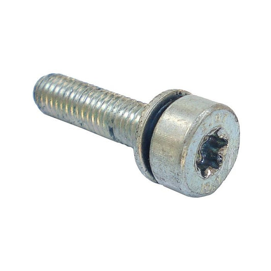 Spline Screw M5 x 20 - OEM: 90223411019